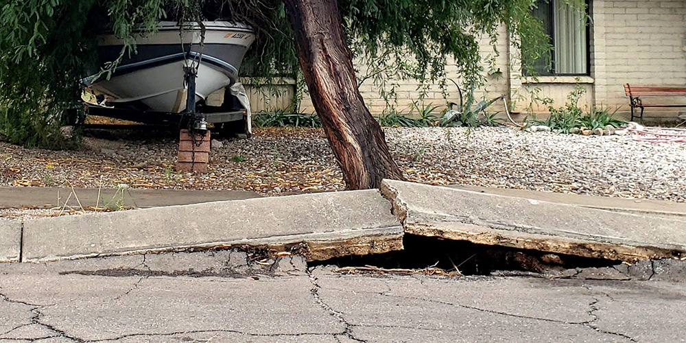 Tree-Roots-break-concrete-1654x827