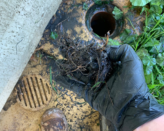 Blocked-drain-1024x1024