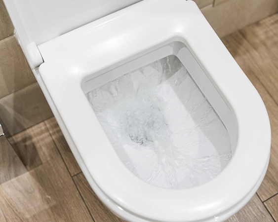 Feature-toilet-flushing-properly