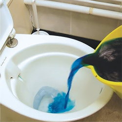 dye
